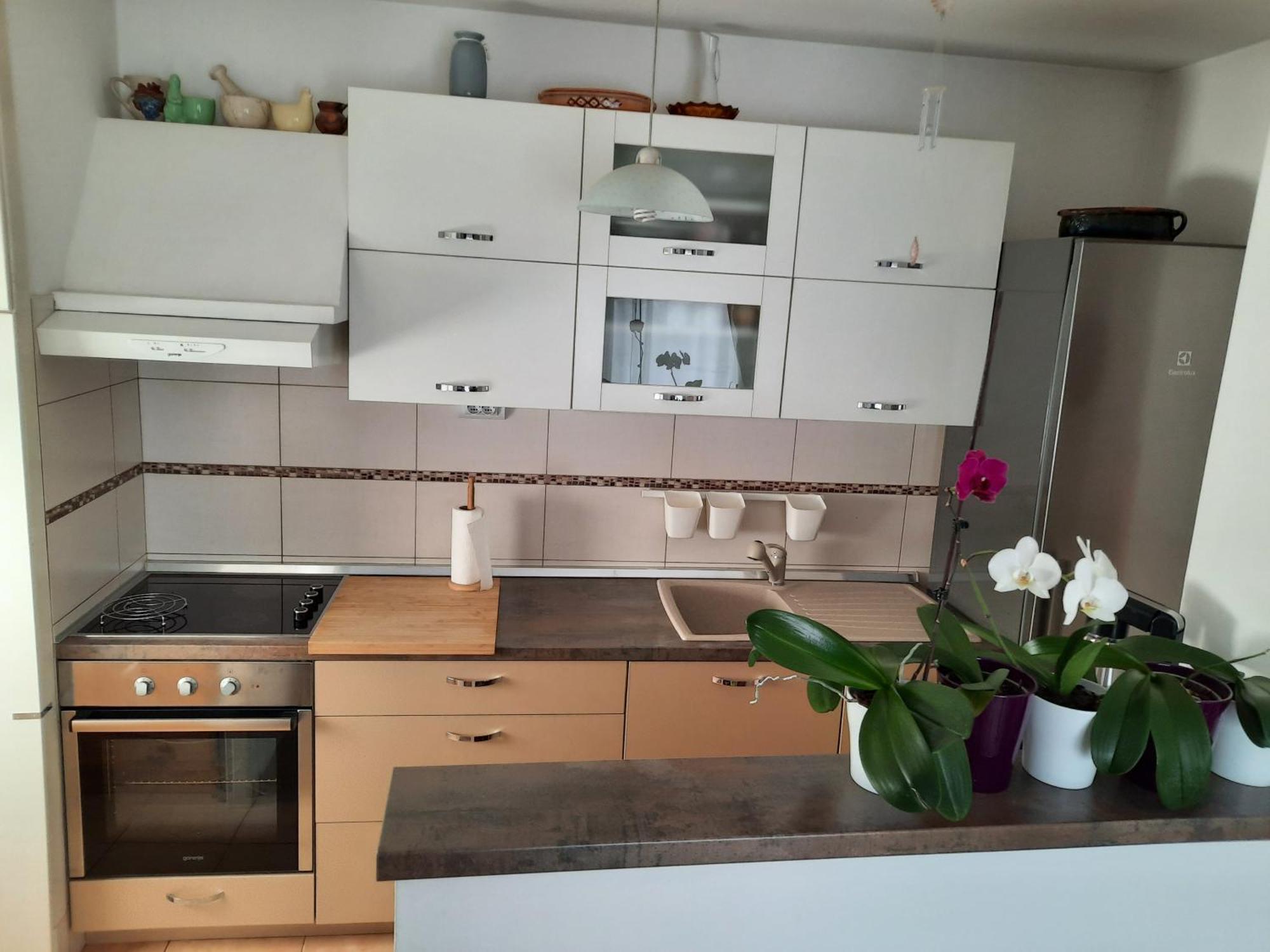 Apartments Anita Crikvenica Rum bild
