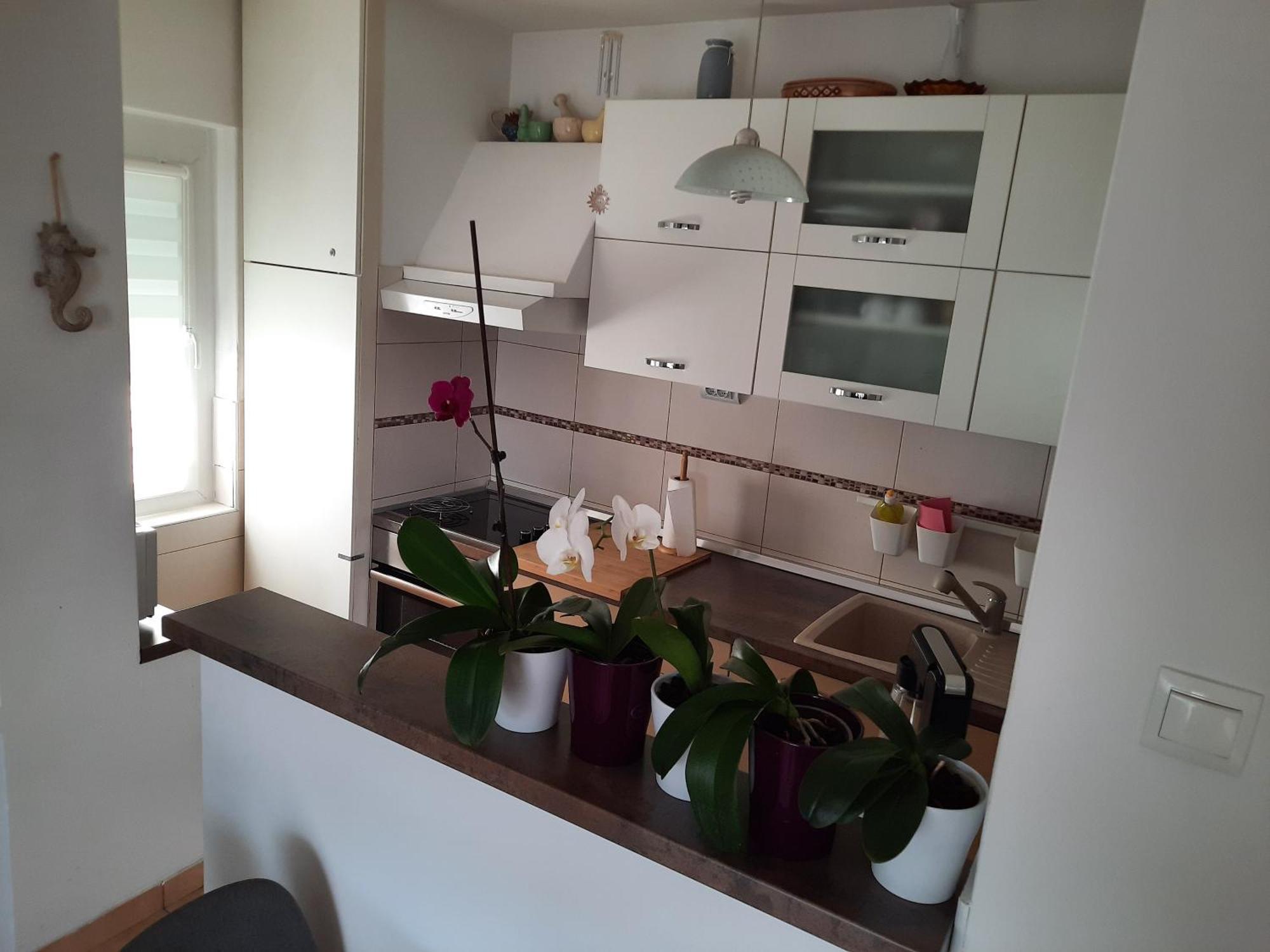 Apartments Anita Crikvenica Rum bild